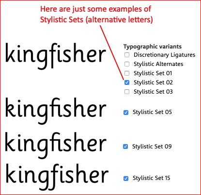 kingfisher15