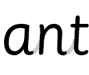 [ant]